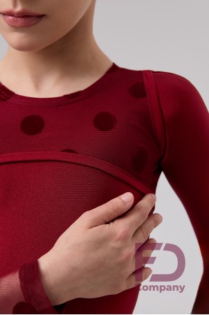 Бейсик БС-97